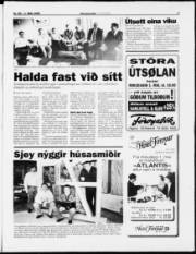 Síða 3