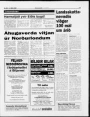 Síða 15