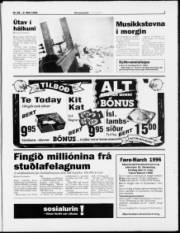 Síða 3