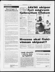 Síða 7