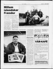 Síða 8