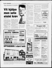 Síða 3