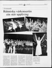 Síða 17