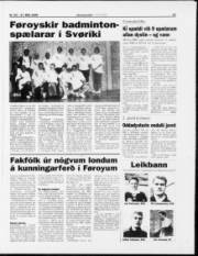 Síða 17