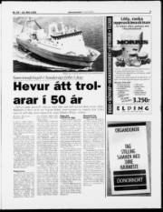 Síða 5