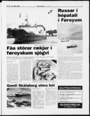 Síða 3