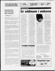 Síða 2