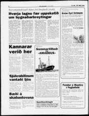 Síða 6