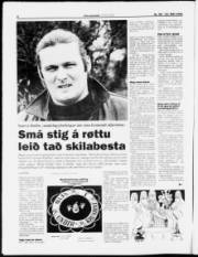 Síða 8