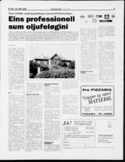 Síða 9