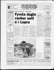 Síða 24