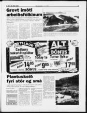 Síða 3