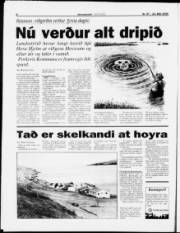 Síða 8