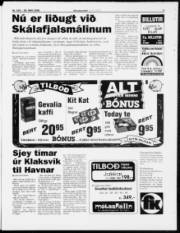 Síða 3