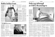 Síða 3