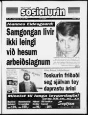 Síða 1