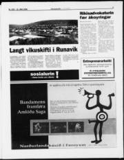 Síða 3