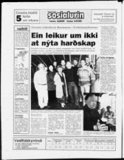 Síða 24
