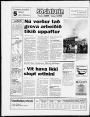 Síða 28