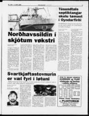 Síða 3