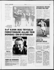 Síða 13