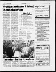 Síða 18