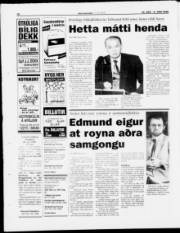 Síða 19