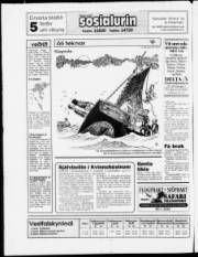 Síða 27