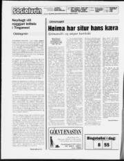 Síða 2
