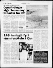 Síða 3