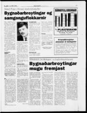 Síða 21
