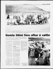 Síða 12