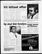 Síða 6