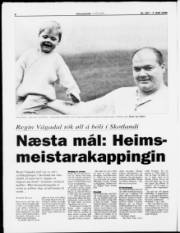Síða 8