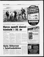 Síða 15