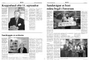 Síða 4
