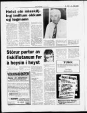 Síða 6