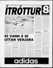 Síða 11