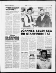 Síða 13