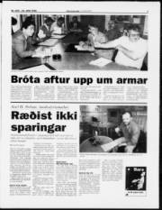 Síða 3