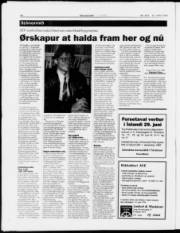 Síða 22
