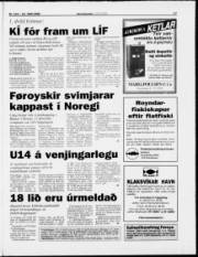 Síða 17