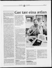 Síða 17