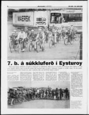 Síða 8