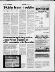 Síða 17