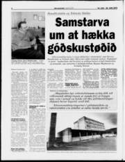 Síða 6