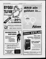 Síða 13