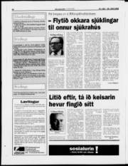 Síða 17