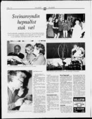 Síða 12
