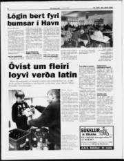 Síða 6